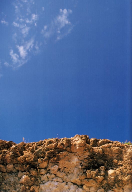 图片[38]-#小向美奈子 – MINA-FULL - 全本免费在线观看-阅图吧