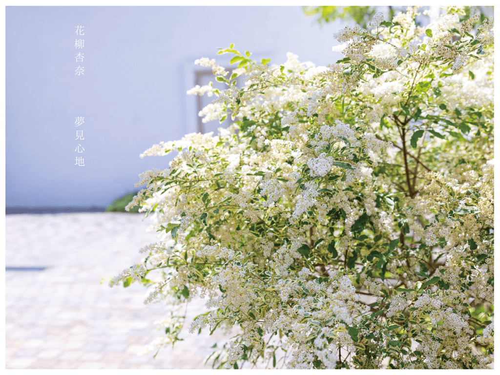 图片[2]-花柳杏奈 官方写真集 如梦似幻 - 在线免费观看-阅图吧