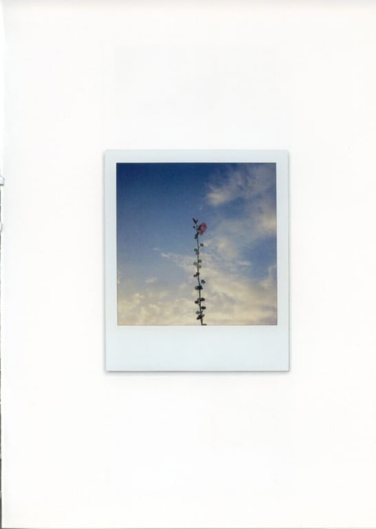 图片[138]-#未向 – LOVE POLA - 全本免费在线观看-阅图吧