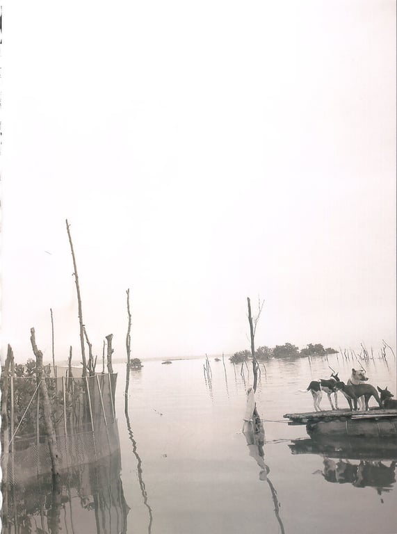 图片[10]-#佐藤宽子 – Peek a Boo！ - 全本免费在线观看-阅图吧