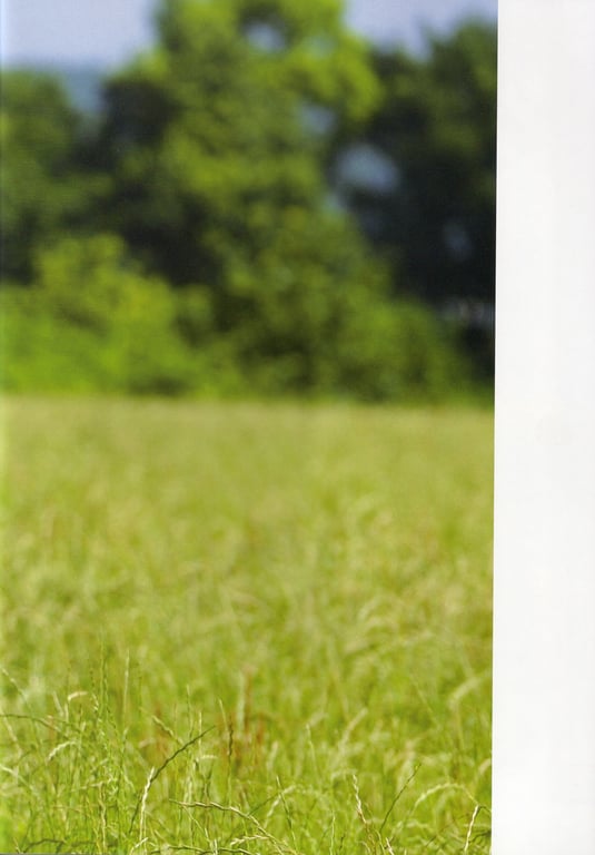 图片[72]-#Maki Horikita 堀北真希 – Cinematic () (130P) - 全本免费在线观看-阅图吧