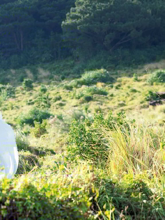 图片[55]-#Miho Machiyama 街山美穗 – Eden (2022-02-25) - 全本免费在线观看-阅图吧