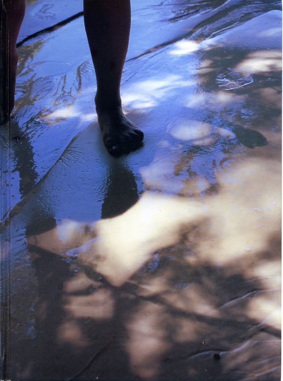 图片[5]-#夏目ナナ – NaNa! - 全本免费在线观看-阅图吧