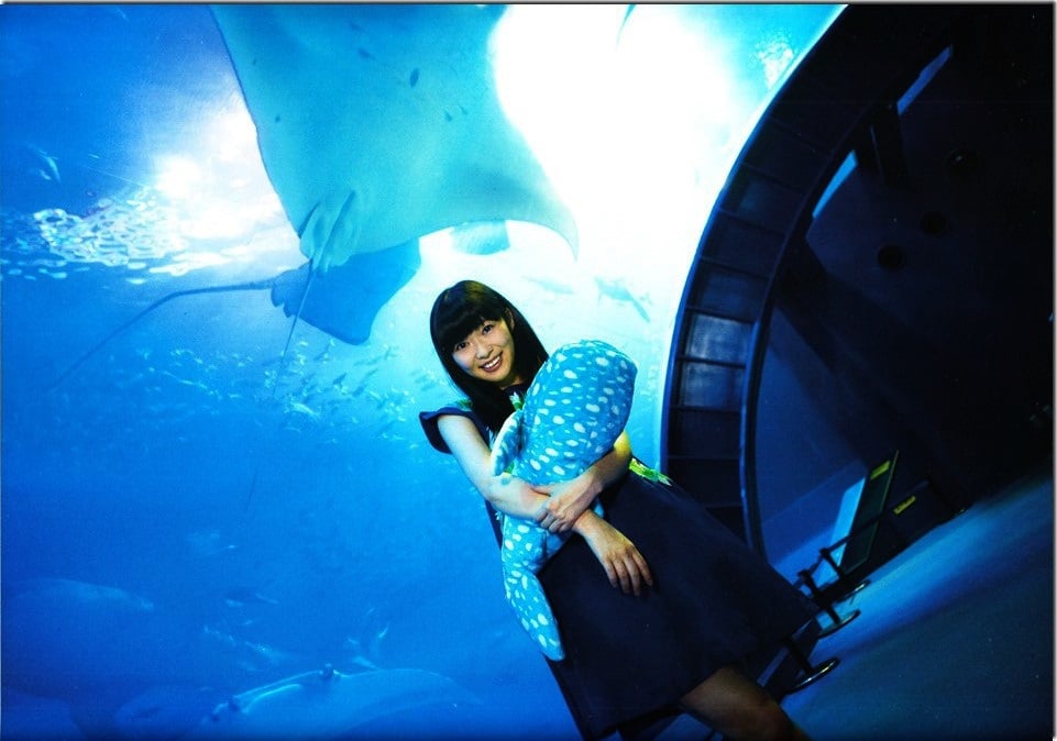 图片[117]-#Rino Sashihara 指原莉乃 – Lost to a cat 输给了猫 (2013-12-26) - 全本免费在线观看-阅图吧