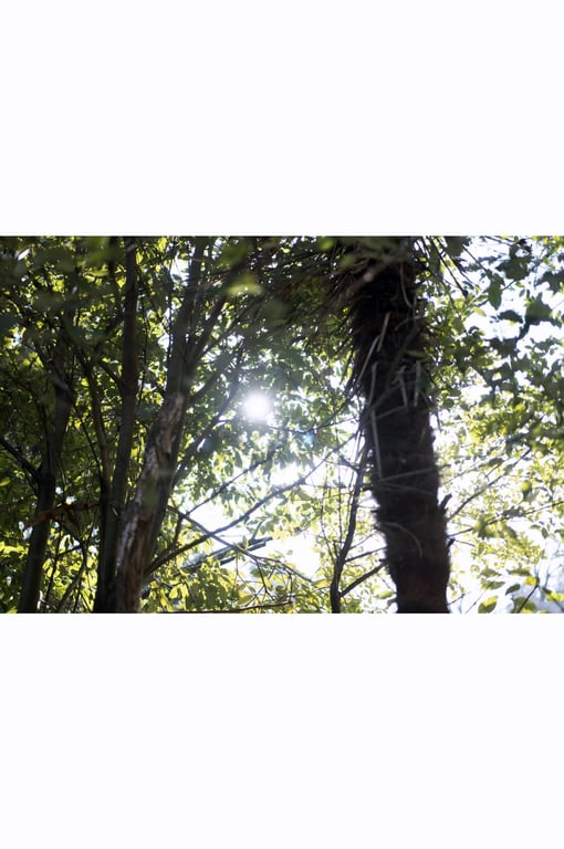 图片[27]-#謎の美女17『一片之舞』ファースト写真集 - 全本免费在线观看-阅图吧