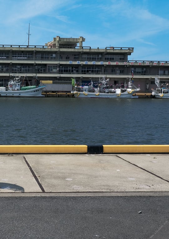 白玫瑰之夜 草野绫写真集 - 在线免费观看-阅图吧