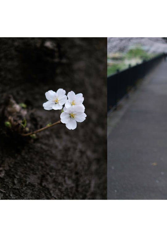 图片[125]-被夺走 小仓七海 - 在线免费观看-阅图吧