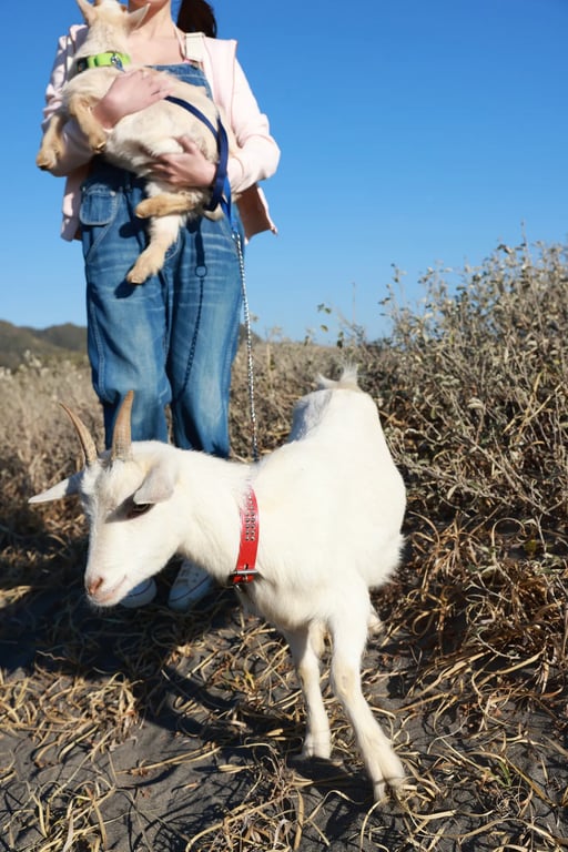 图片[77]-#FRIDAYデジタル写真集 小日向ゆか Soleil オール未公開スペシャルEdition vol.2[113P] - 全本免费在线观看-阅图吧