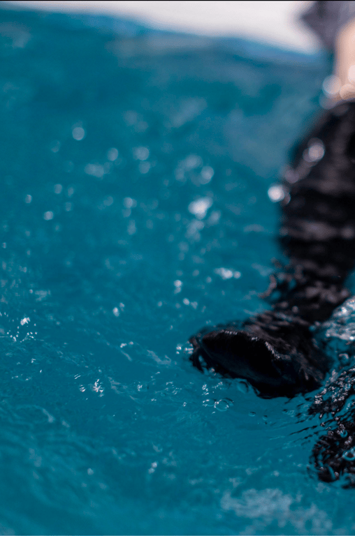 图片[103]-Hana Shirato 白桃花 - Gravure Photobook Youth #青春 (2021-11-26) - 在线免费观看-阅图吧