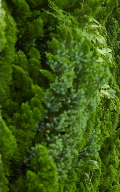 图片[12]-#週刊実話WJガールズデジタル写真集 片瀬かのん - 全本免费在线观看-阅图吧