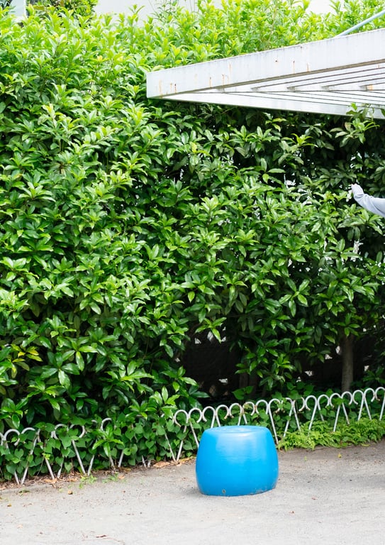 图片[28]-#佐佐木穗乃果『青春的记忆。』 - 全本免费在线观看-阅图吧