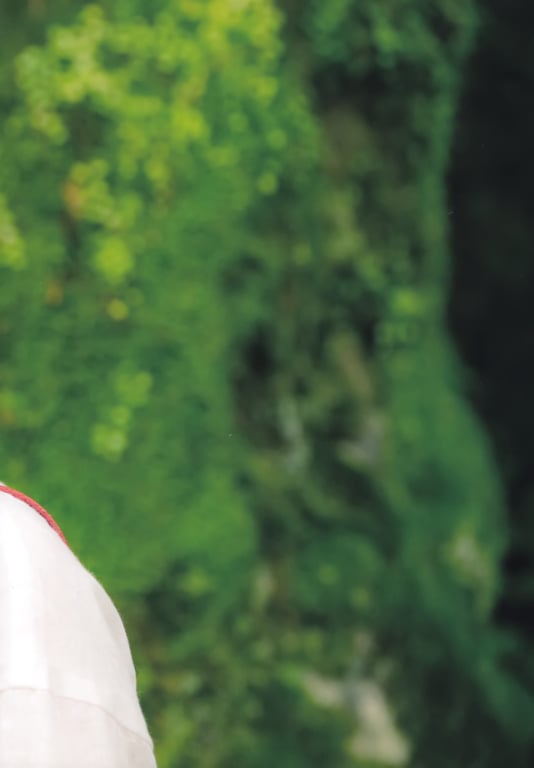 图片[13]-Akane Fujita 藤田茜 - Akane Iro 茜色 (2017-12-01) - 在线免费观看-阅图吧