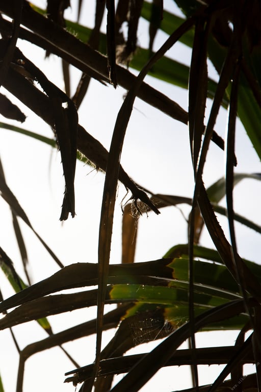 图片[18]-#CRAZY SUMMER 有贺美奈穗【裸体写真集】 - 全本免费在线观看-阅图吧