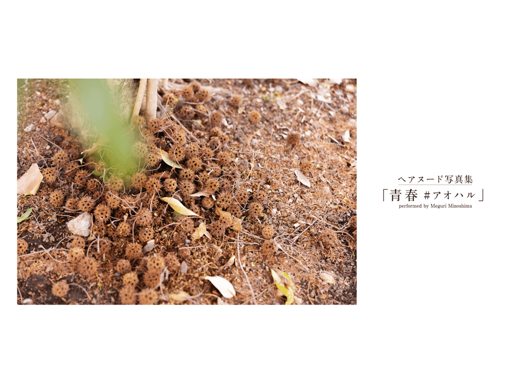 图片[2]-#美ノ嶋めぐり 撮り下ろしヘアヌード写真集 青春#アオハル - 全本免费在线观看-阅图吧