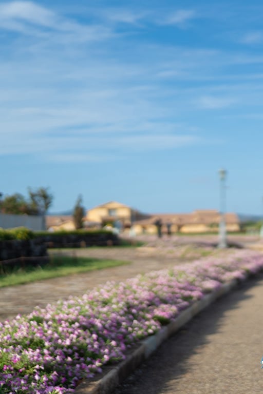 图片[13]-FLASHデジタル写真集 峰岛小牧 全部塞满、夏。 - 在线免费观看-阅图吧