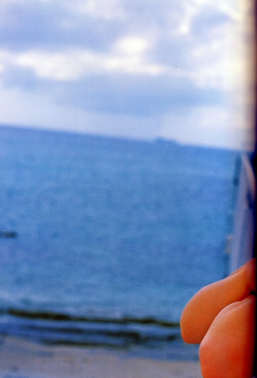 图片[25]-#2008.12.20 Eri Kamei 龟井绘里 – 20 二十岁 - 全本免费在线观看-阅图吧