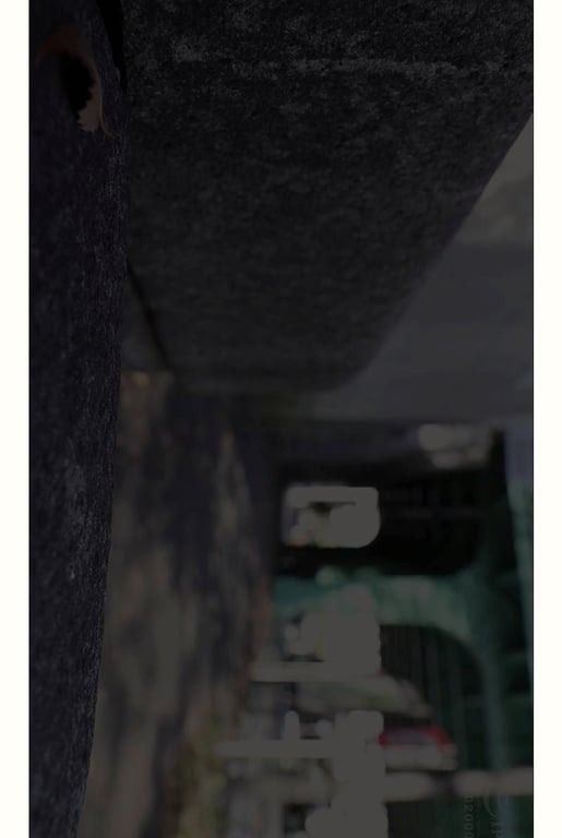 图片[38]-シェリーストーリー写真集 鈴木真夕 vol.1 wild beast - 在线免费观看-阅图吧