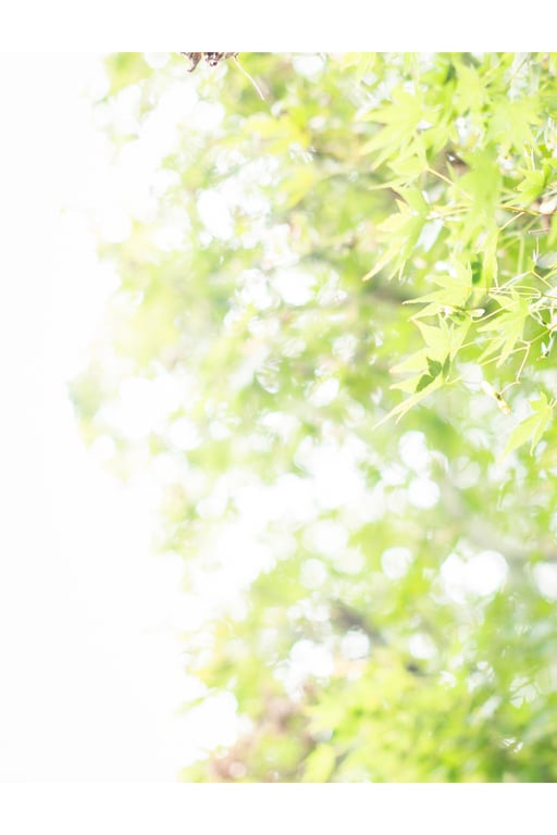 图片[65]-妃ひかり 开放式淋浴写真集 光照射的方向 - 在线免费观看-阅图吧