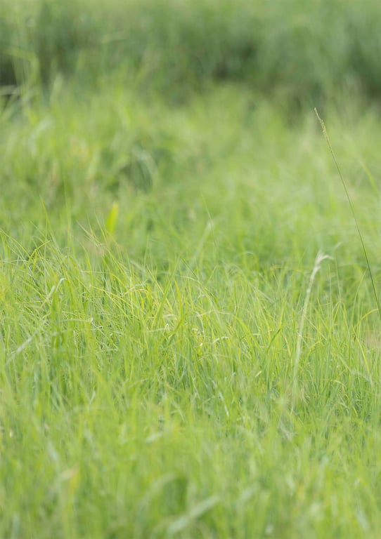 图片[88]-#似鸟沙也加数字写真集『蝴蝶结』 - 全本免费在线观看-阅图吧