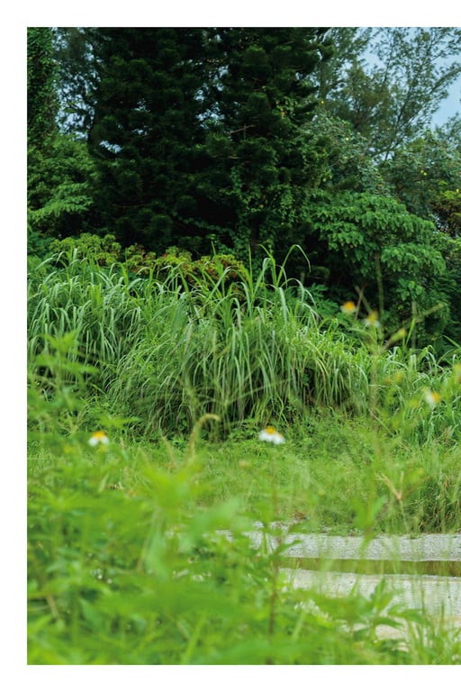 图片[100]-#海に見惚れて 八掛うみ【ヌード写真集】 - 全本免费在线观看-阅图吧