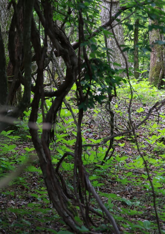 图片[94]-8woman Last Dance JEWELS 周刊邮报数字写真集 - 在线免费观看-阅图吧