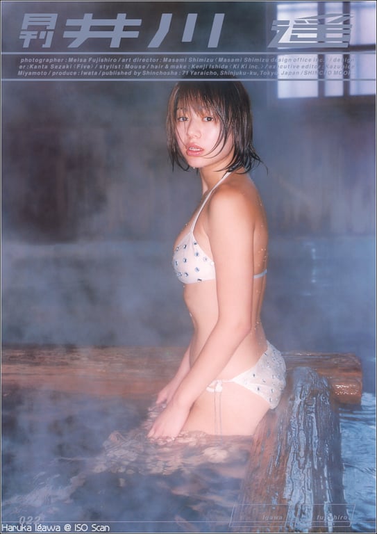 #(月刊シリーズ 022) – 月刊022 井川遥 - 全本免费在线观看-阅图吧