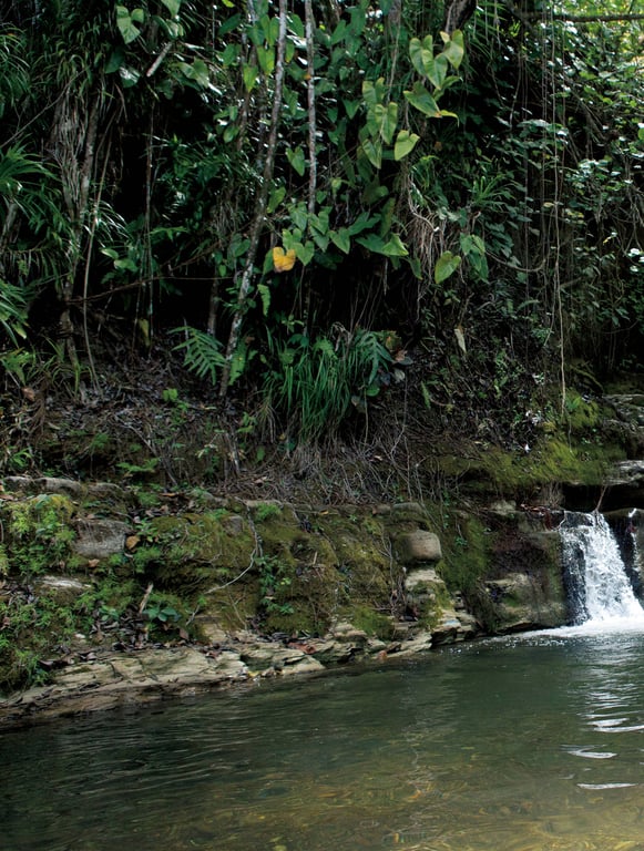 图片[33]-Shoko Takahashi 高桥翔子 - Takasho 高翔 - 在线免费观看-阅图吧