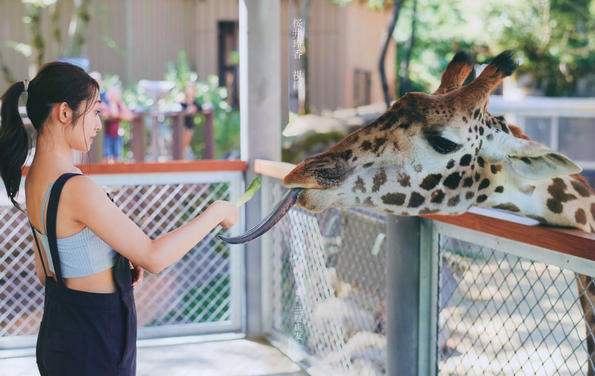 图片[3]-#桜井玲香２ｎｄ写真集 視線 - 全本免费在线观看-阅图吧