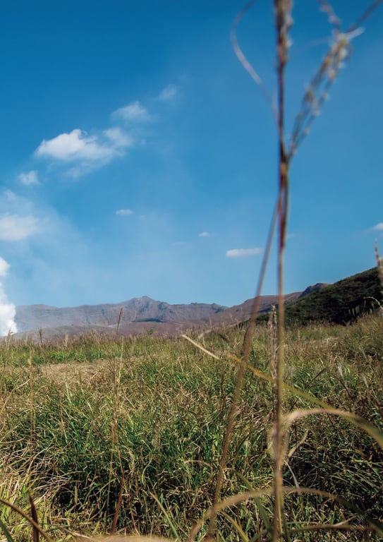 图片[50]-#Tsukasa Aoi 葵司 (2021-03-30)\葵司 朝艺SEXY女优写真集 - 全本免费在线观看-阅图吧