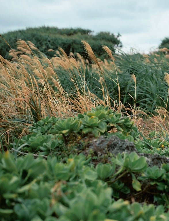 图片[79]-アサ芸SEXY女優写真集 桃園怜奈 moMoment - 在线免费观看-阅图吧