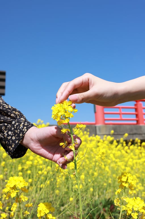 图片[87]-#Mai Tsubasa & Natsu Igarashi – With love and eros 爱与情欲 (2022-04-28) - 全本免费在线观看-阅图吧