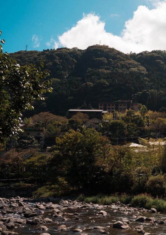 图片[59]-#極致 裸体写真集 (Wunder_Publishing_House.) - 全本免费在线观看-阅图吧