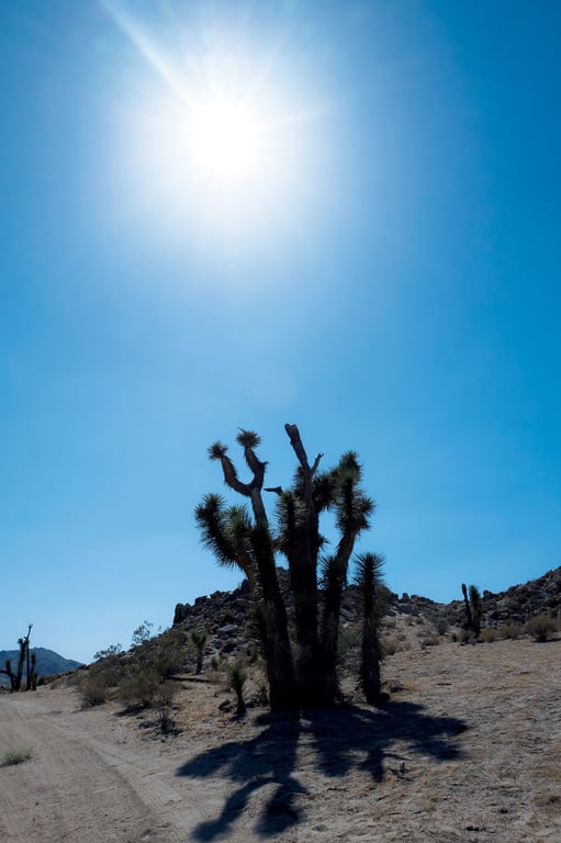 图片[88]-【電子版だけの特典カットつき！】久松郁実写真集 LA - 在线免费观看-阅图吧