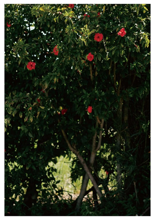 图片[16]-#與你襄遇 林襄數位寫真(2021-05-03) - 全本免费在线观看-阅图吧