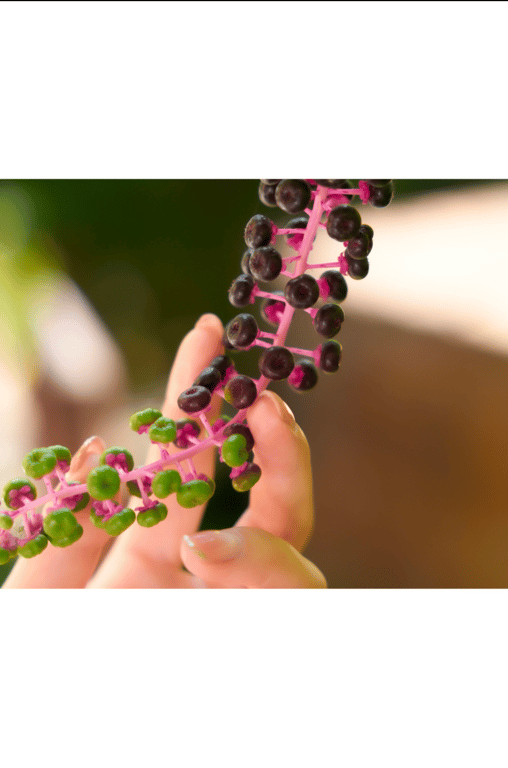 图片[7]-#七瀬いおり Official Gravure Photo Book 这样看的话我，脱了的话很厉害 - 全本免费在线观看-阅图吧