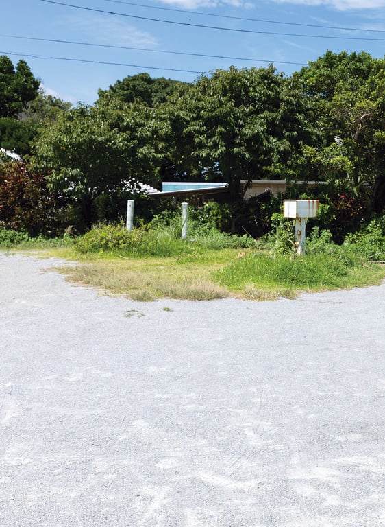 图片[114]-#似鸟沙也加 1st写真集 Ribbon - 全本免费在线观看-阅图吧