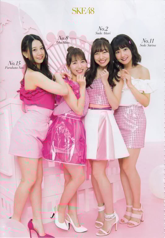 图片[123]-#AKB48特别手册『AKB48总选举! 私服惊喜发表2018』 - 全本免费在线观看-阅图吧