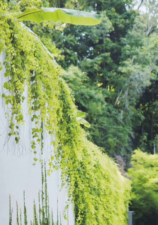 图片[31]-#今田美樱写真集 ラストショット Low Qulity - 全本免费在线观看-阅图吧