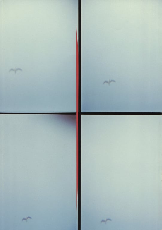 图片[91]-#釈由美子 – CHAOS - 全本免费在线观看-阅图吧