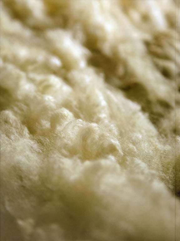 图片[67]-#杉本有美 ファースト写真集 うち HQ - 全本免费在线观看-阅图吧