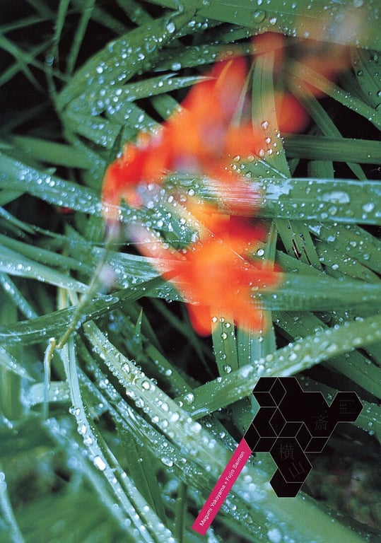 图片[2]-#(月刊シリーズ 037) – 月刊037 横山惠 - 全本免费在线观看-阅图吧