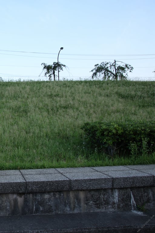 图片[88]-#めぞん夕刻～エッチな管理人～ 鈴木真夕【ヘアヌード写真集】(2021-09-03) - 全本免费在线观看-阅图吧