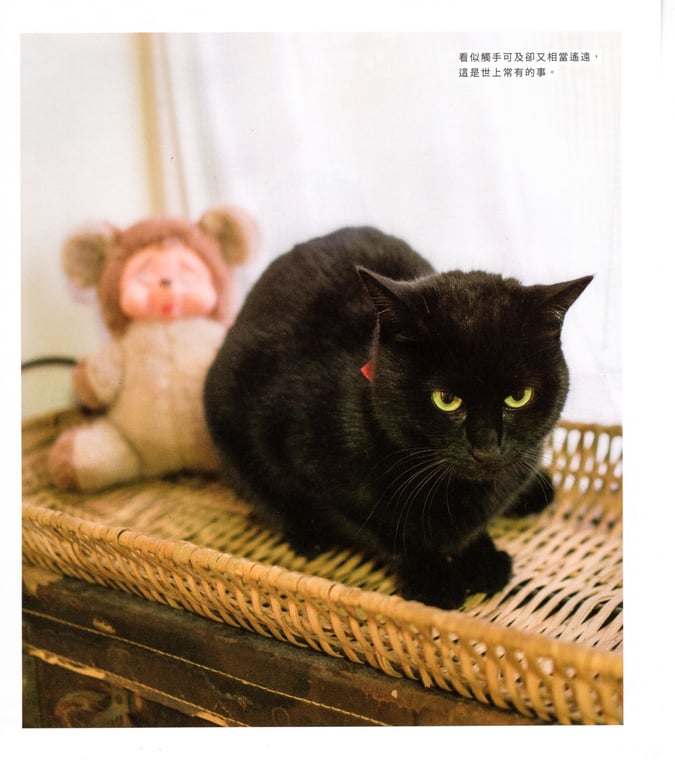 图片[170]-#青山裕企 Photobook 26sets\【青山裕企】青山裕企♡妹妹 - 全本免费在线观看-阅图吧