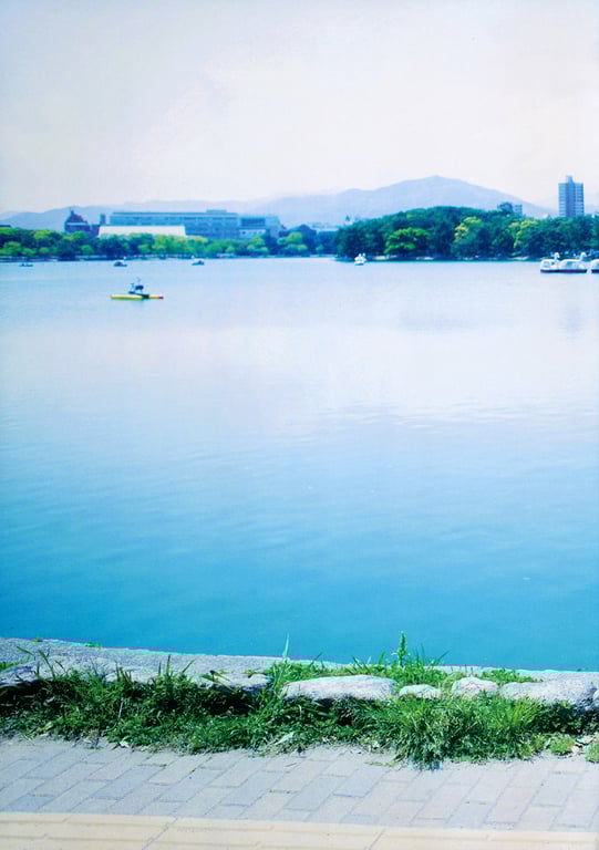 图片[30]-#宮脇咲良ファースト写真集 さくら - 全本免费在线观看-阅图吧