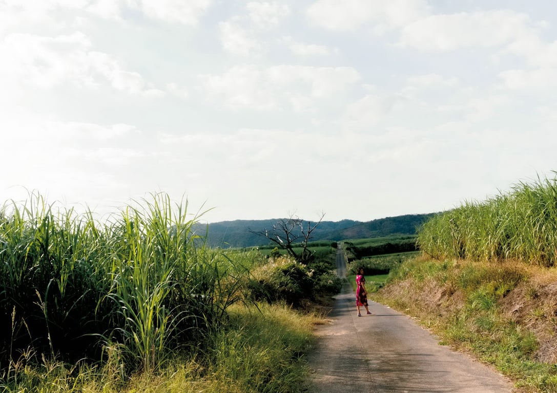 图片[62]-Hiroko Sato 佐藤宽子 - 1262 (2017-02-20)佐藤宽子 1262 - 在线免费观看-阅图吧