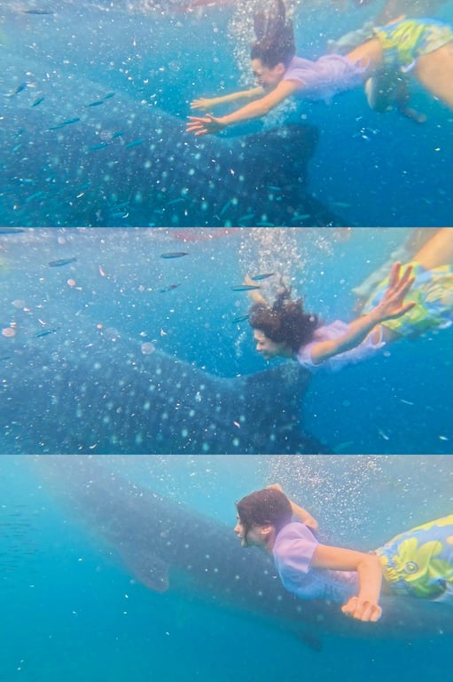 图片[78]-2024.08.28 今森茉耶1st写真集「恋爱开始」 - 在线免费观看-阅图吧