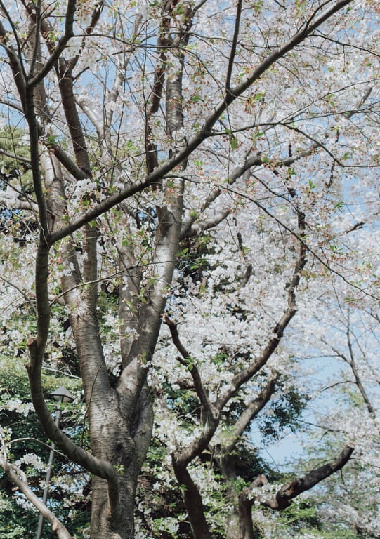 图片[68]-#七ツ森りりデジタル写真集 被拍走(No Watermark) - 全本免费在线观看-阅图吧