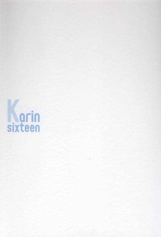 图片[2]-#Karin Miyamoto 宫本佳林 – Karin sixteen (2015-05-27) - 全本免费在线观看-阅图吧