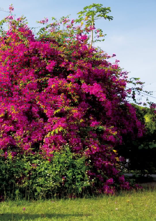 图片[48]-船木结 毕业写真集 『 结章 － KESSYO － 』 - 在线免费观看-阅图吧