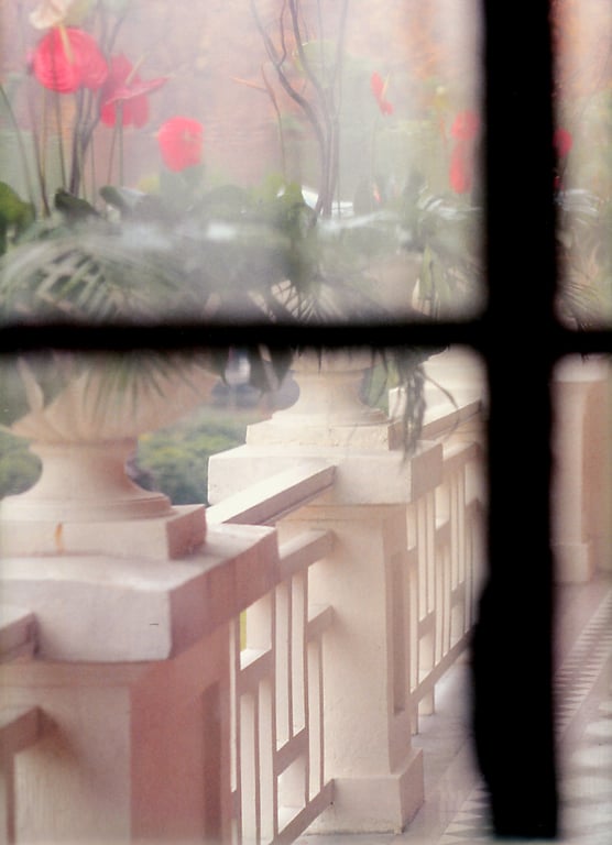 图片[39]-#Haruka Igawa 井川遥 – Tomato 西红柿 トマト」(20030223) - 全本免费在线观看-阅图吧